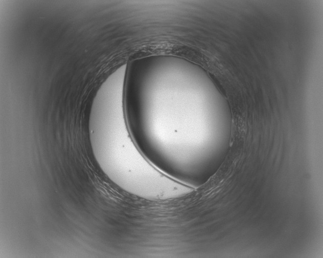 X0000056020818200508190918