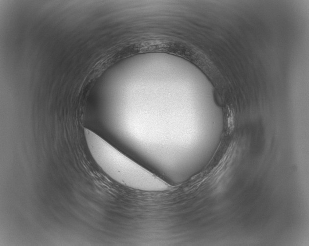X0000056020819200508190918