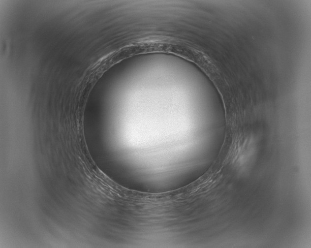 X0000056020821200508190918