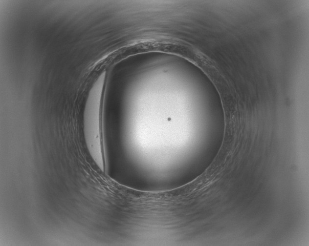 X0000056020822200508190918