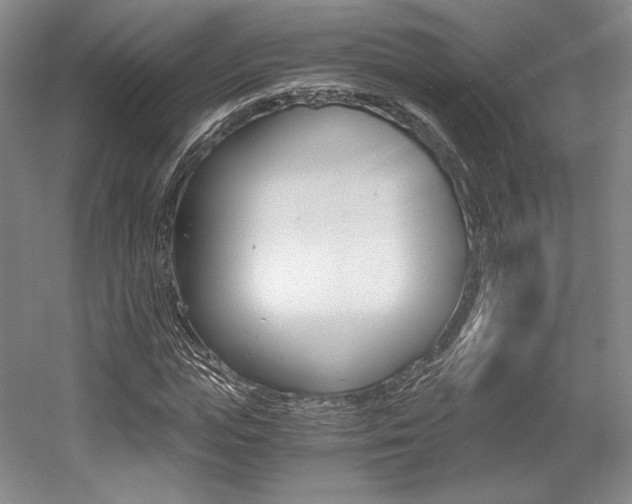 X0000056020823200508190918