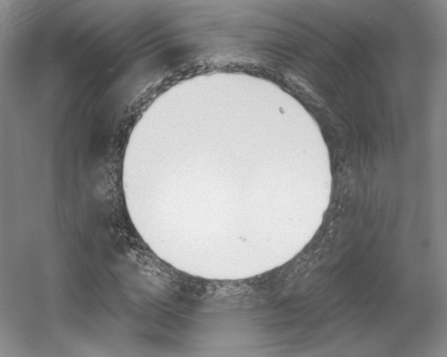 X0000056020824200508190918