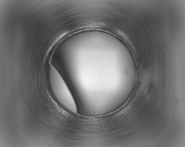 X0000056020827200508190918