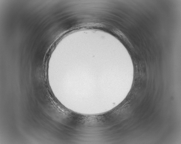 X0000056020828200508190918