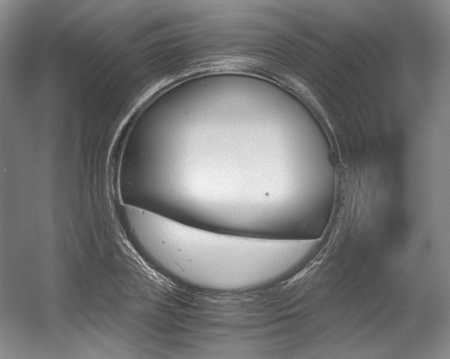X0000056020835200508190918