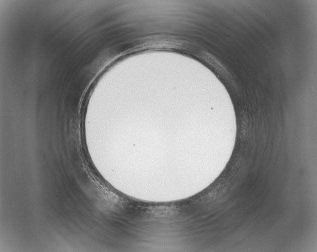 X0000056020836200508190918