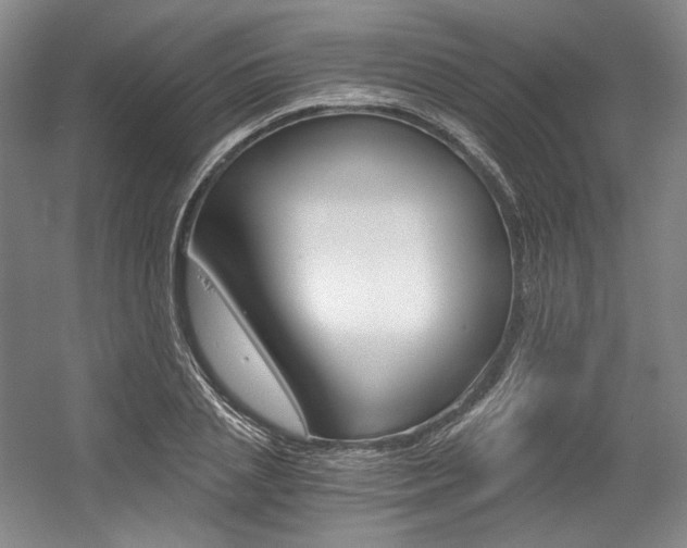 X0000056020837200508190918
