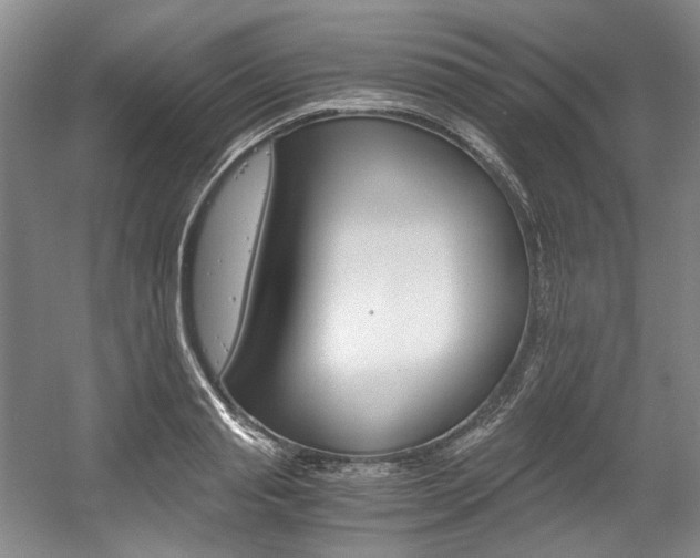X0000056020845200508190918