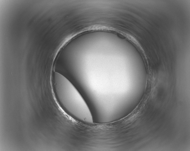 X0000056020847200508190918