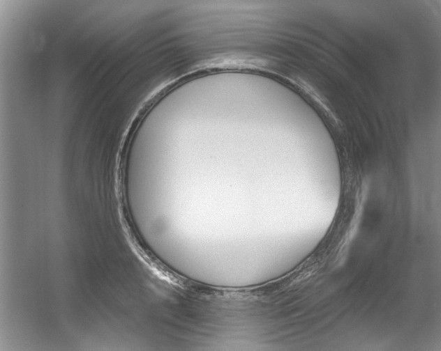 X0000056020848200508190918