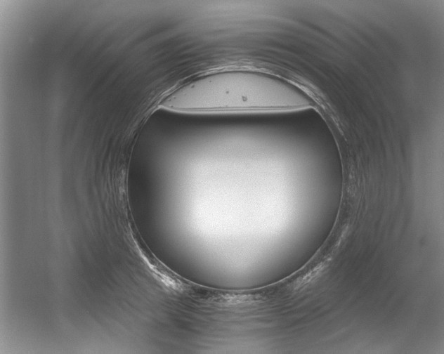 X0000056020849200508190918
