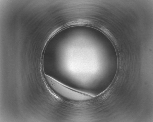 X0000056020850200508190918