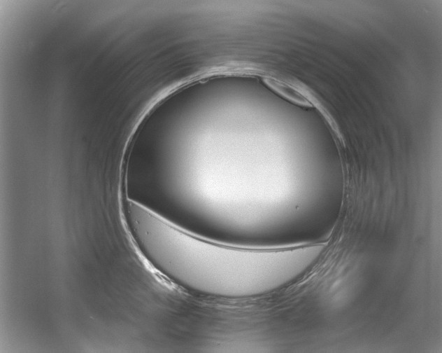 X0000056020861200508190918