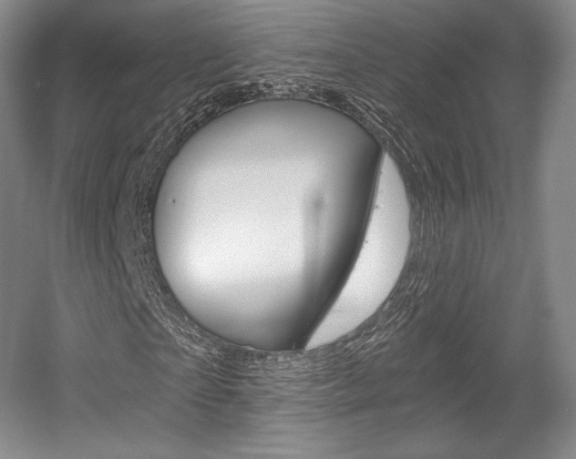 X0000056020865200508190917