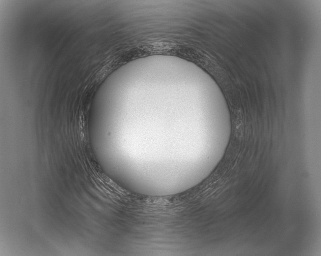 X0000056020866200508190917
