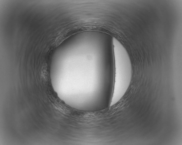 X0000056020867200508190917
