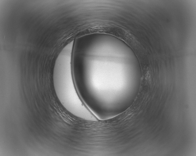 X0000056020868200508190917