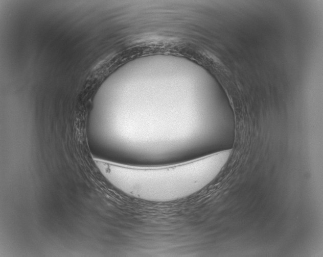 X0000056020869200508190917