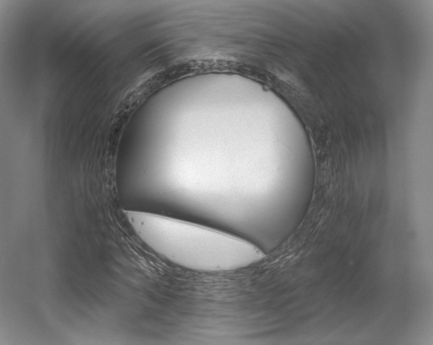 X0000056020870200508190917
