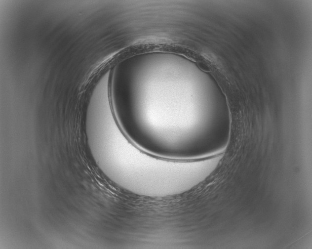 X0000056020872200508190917