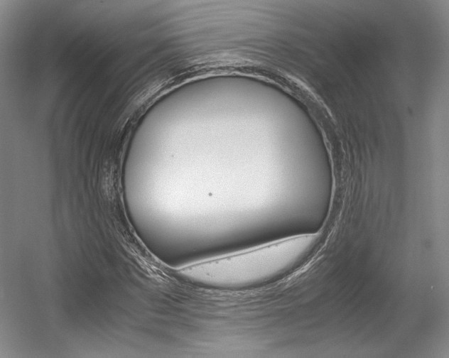 X0000056020873200508190917