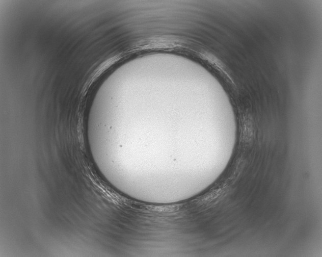 X0000056020874200508190917