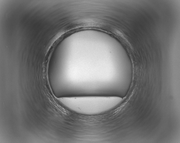 X0000056020875200508190917