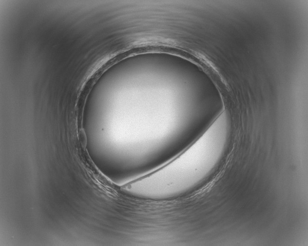 X0000056020877200508190917