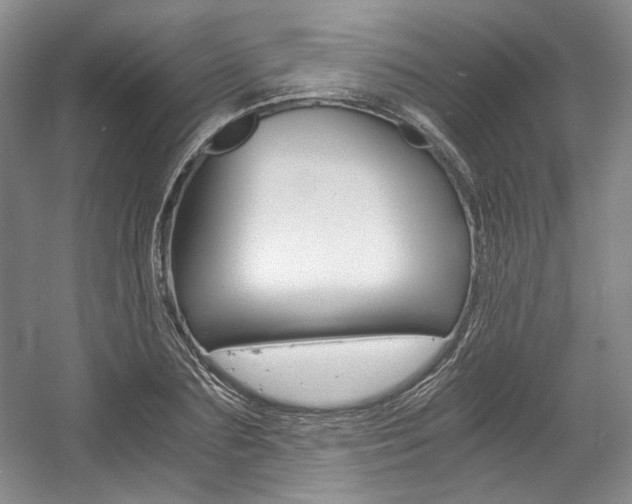 X0000056020883200508190917