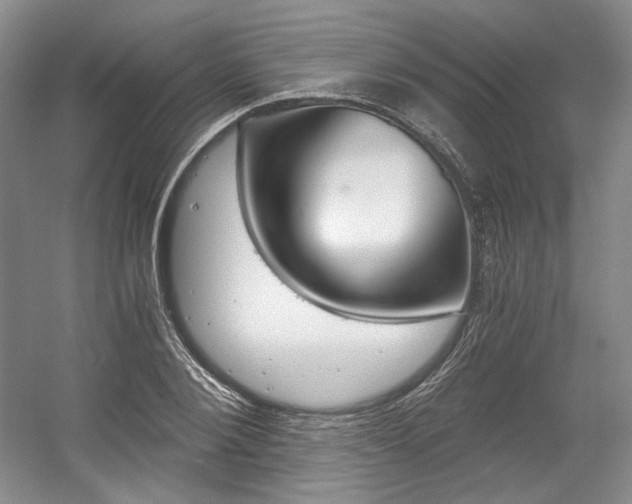X0000056020884200508190917