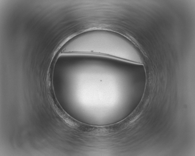X0000056020885200508190917
