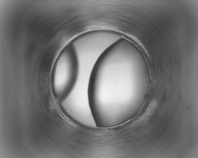 X0000056020887200508190917