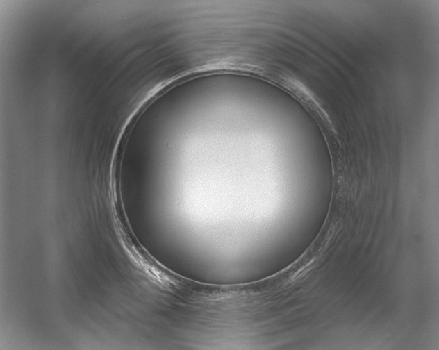 X0000056020892200508190917