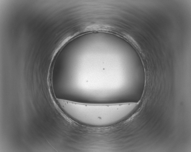 X0000056020893200508190917