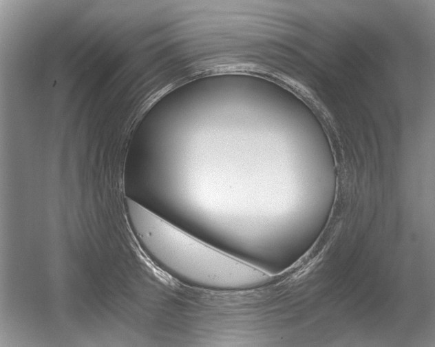 X0000056020897200508190917