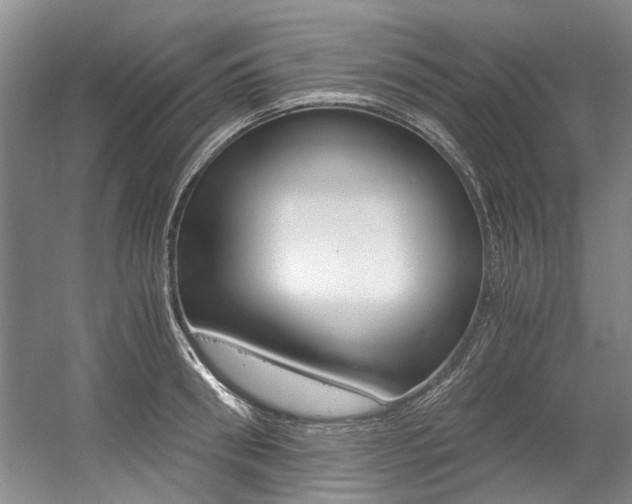X0000056020898200508190917