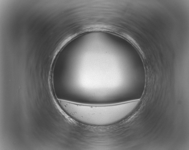 X0000056020901200508190917