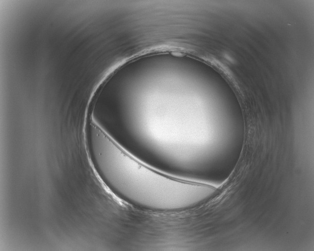 X0000056020902200508190917