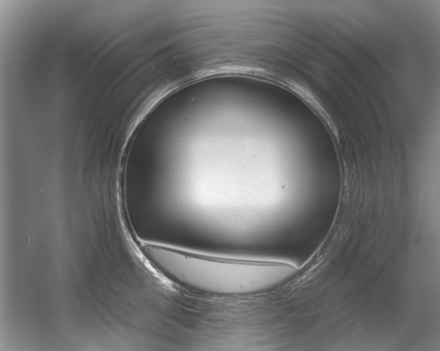 X0000056020906200508190917