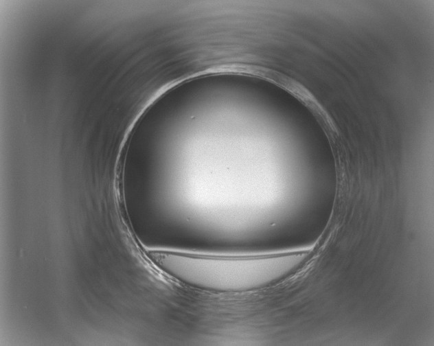 X0000056020908200508190917