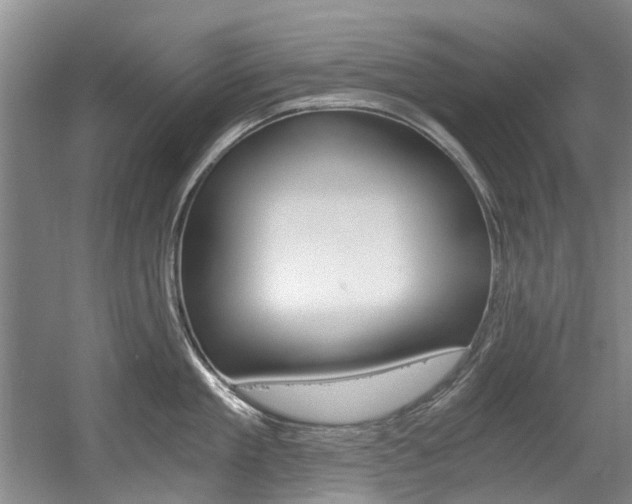 X0000056020909200508190917