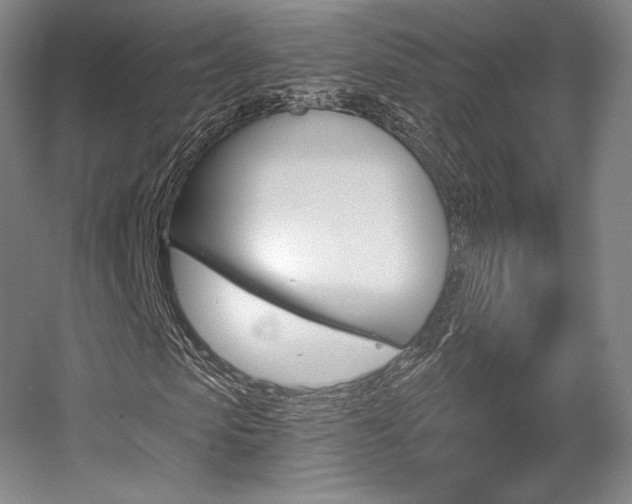X0000056020913200508190916