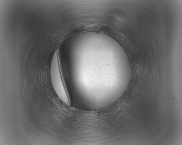 X0000056020914200508190916