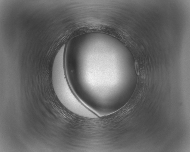 X0000056020916200508190916