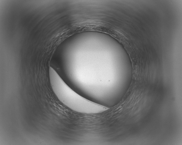 X0000056020917200508190916