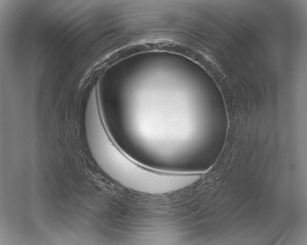 X0000056020920200508190916