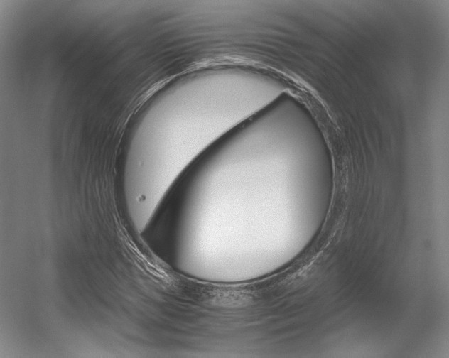 X0000056020921200508190916