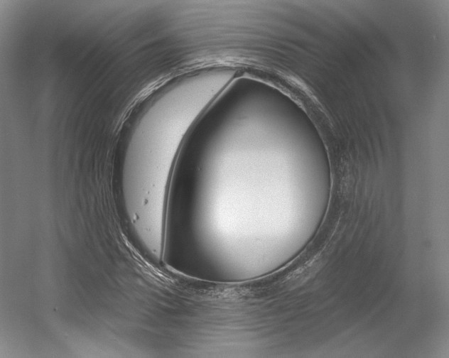 X0000056020922200508190916
