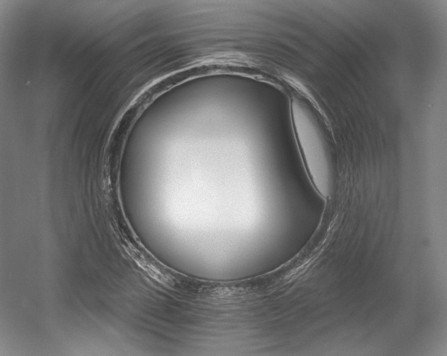 X0000056020923200508190916