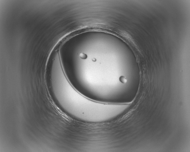 X0000056020924200508190916